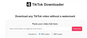 Situs download video tiktok tanpa watermark